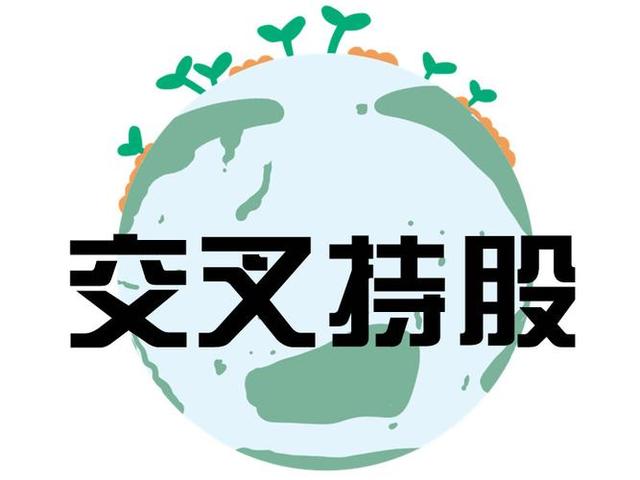 交叉持股安排设计(交叉持股怎么计算持股比例)长春市